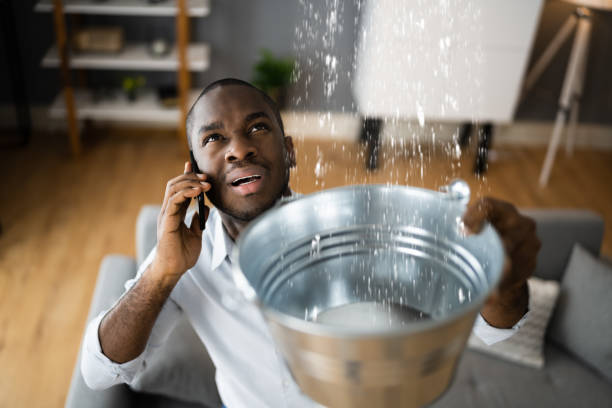Best Water damage cleanup near me  in Alexandria, KY