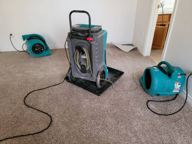 Best Ceiling water damage repair  in Alexandria, KY