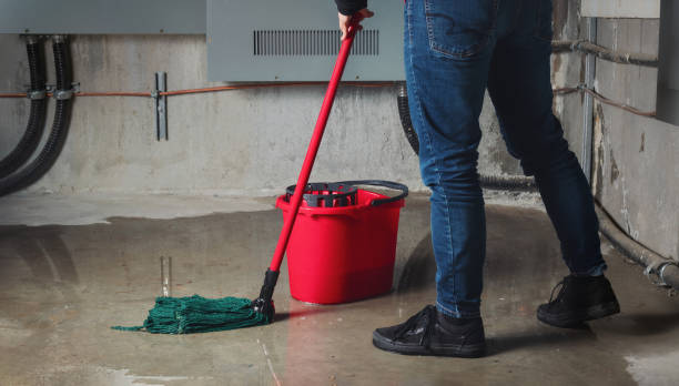 Best Local water damage restoration  in Alexandria, KY