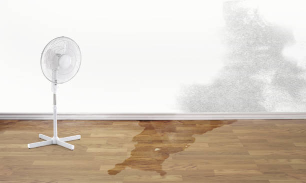Best Flood restoration services  in Alexandria, KY