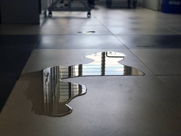 Best Water damage repair service  in Alexandria, KY