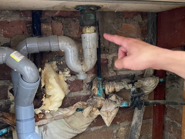 Best Professional water damage repair  in Alexandria, KY
