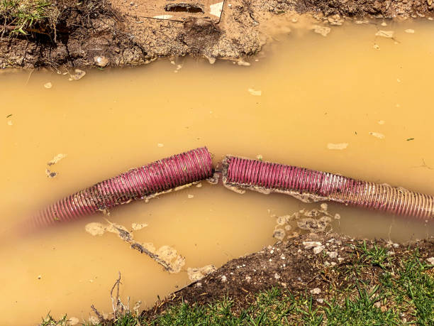 Best Water damage restoration near me  in Alexandria, KY