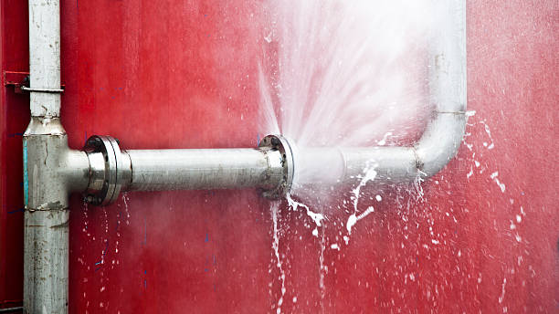 Best Water damage restoration insurance claims  in Alexandria, KY